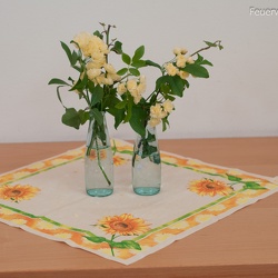 2011-04-Floriani