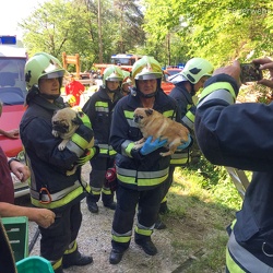 2019-06-Unfall-Graunerstrasse