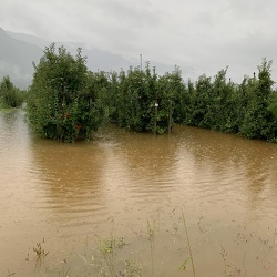 2020-08-Hochwasser